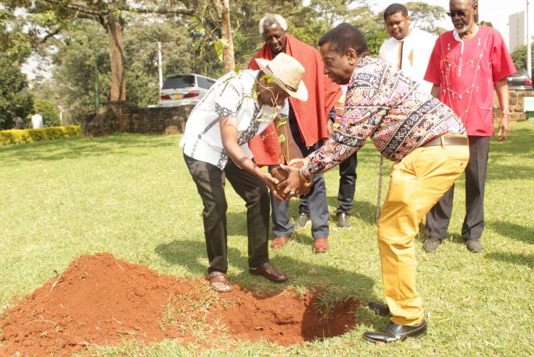 Ag. Dean, FST & Chairman, Chemistry Planting a tree during the cultural day