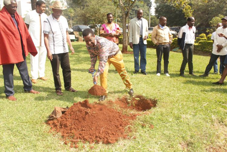 Ag. Dean, planting Prunus africana during the cultural